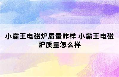 小霸王电磁炉质量咋样 小霸王电磁炉质量怎么样